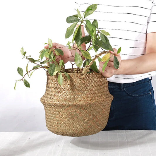 Seagrass Plant Basket – Folding Straw Wicker Storage for Laundry, Garden & Home Decor